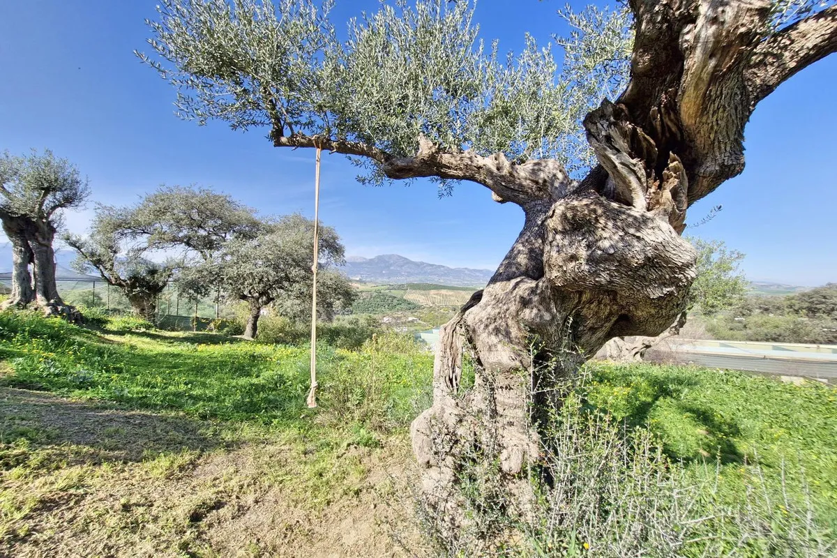 f224c4de-a78f-46dd-a7f8-4ab278482428