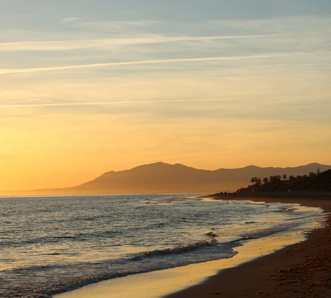 72710fa8-5342-4b1e-868f-1c0d36b0f508