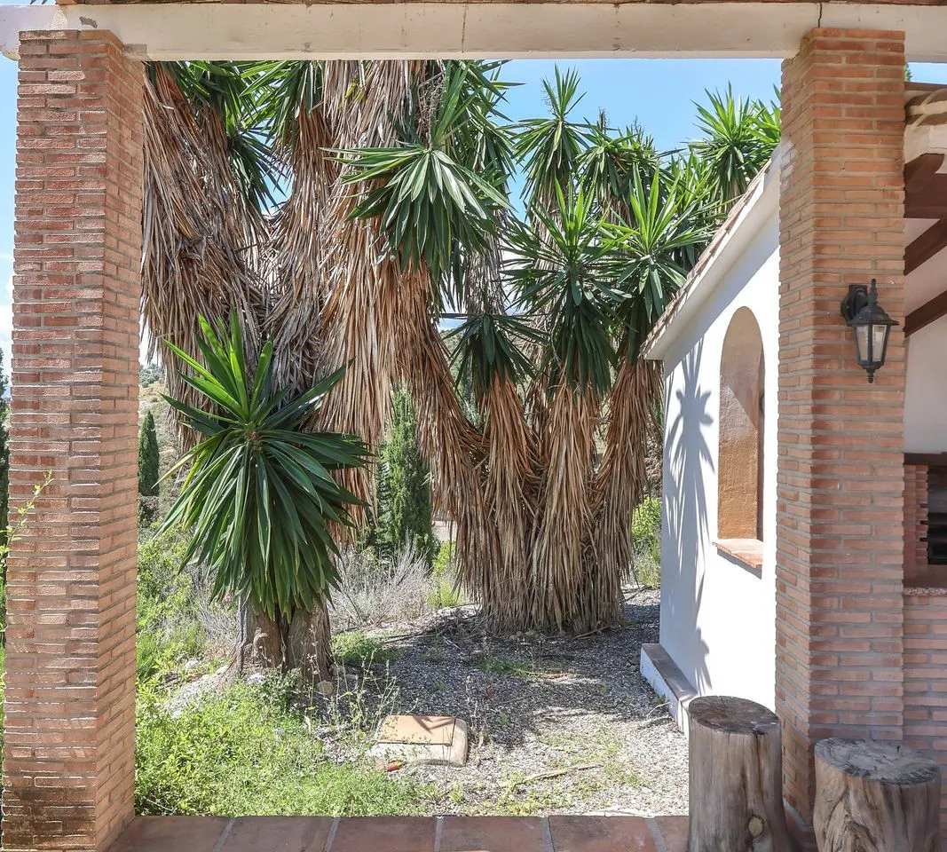 c186f7f9-3620-461f-920a-dfd42932ef67