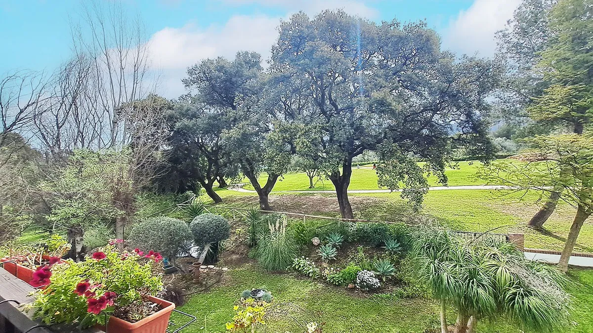 011fcf15-8e0a-4d0d-a6a2-07939d4cddcc