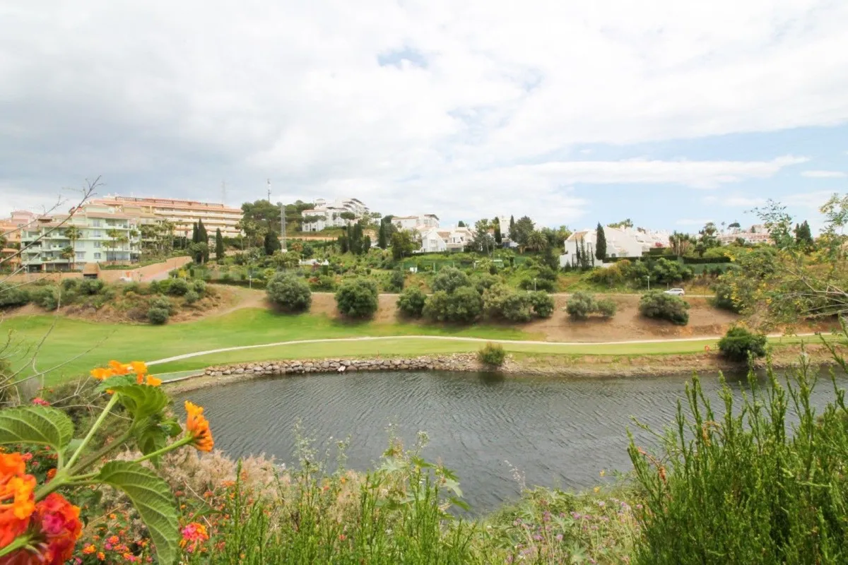 b0c5ada7-dea7-4903-8385-c3275a5d6adc