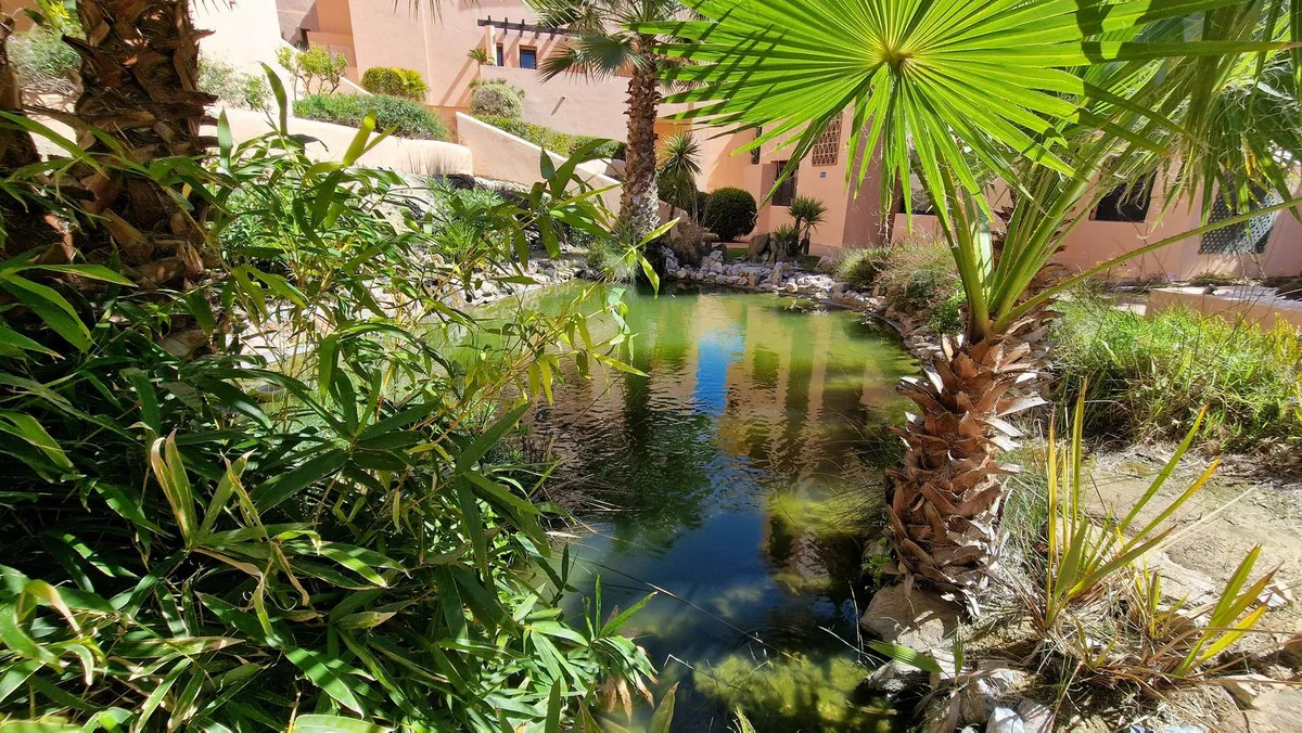 cb75c8d2-c5c2-44d4-808e-4158a3886255