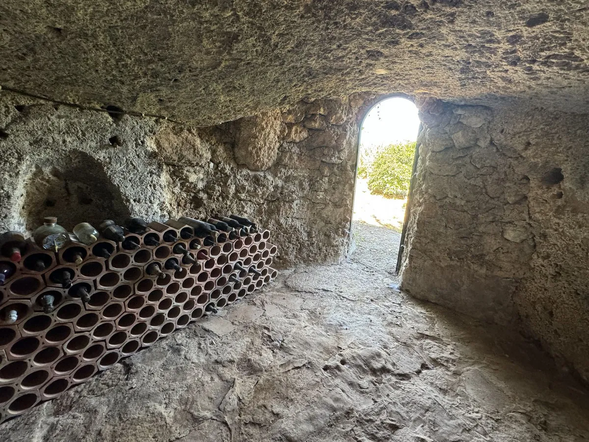 0c98f99b-2640-42f9-98ae-2ac1ebb3f3e9