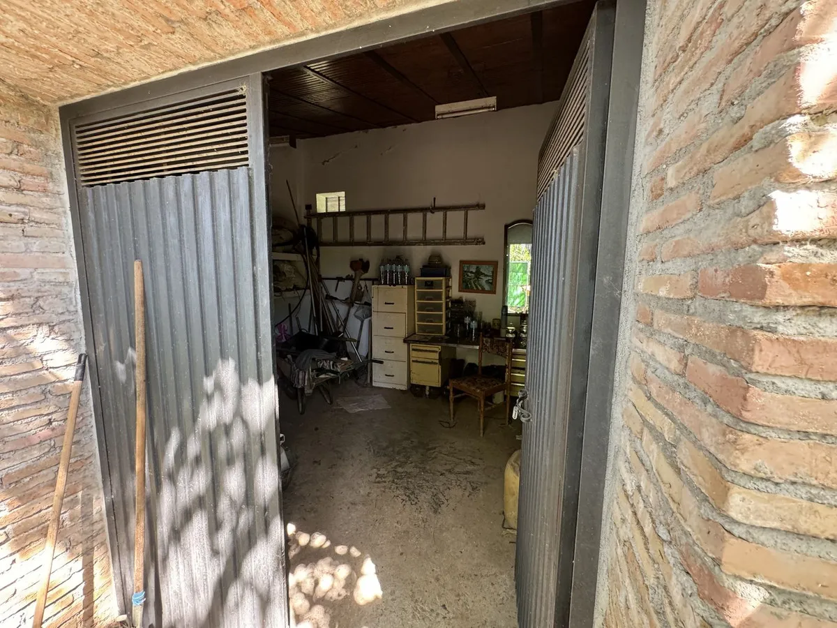 54e9ccaa-3527-4aef-8752-427daf4ee822