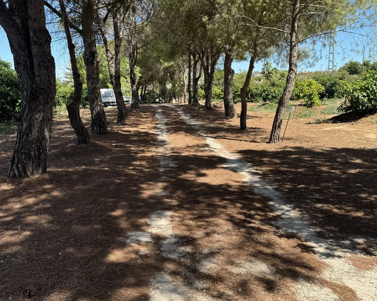 9cee1bb5-b545-4b82-b338-07cc176c358d