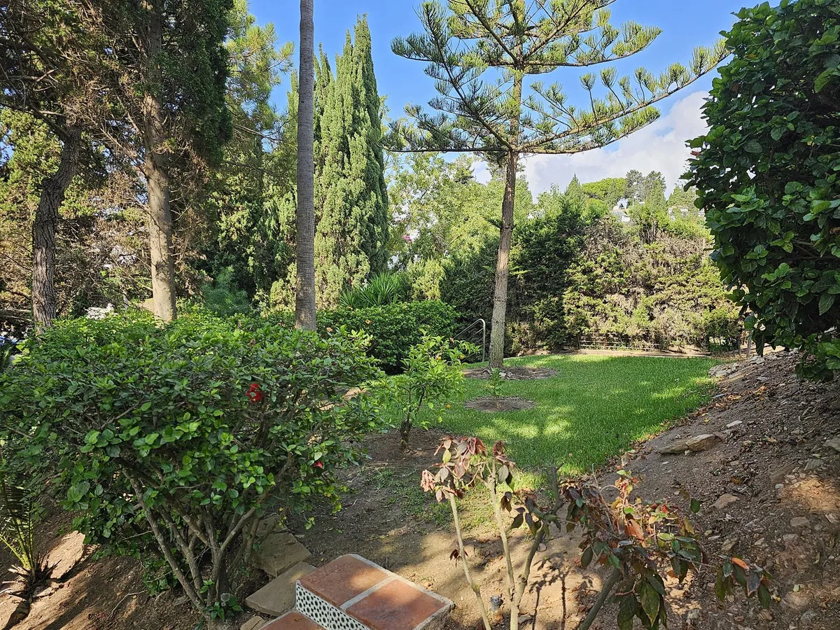 79e3e787-798b-4f14-84c8-30ae66b20c47