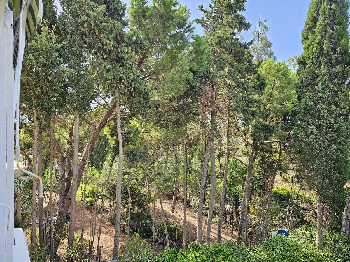 c1452a1d-d0c6-4fcb-992d-8d84574ad11a