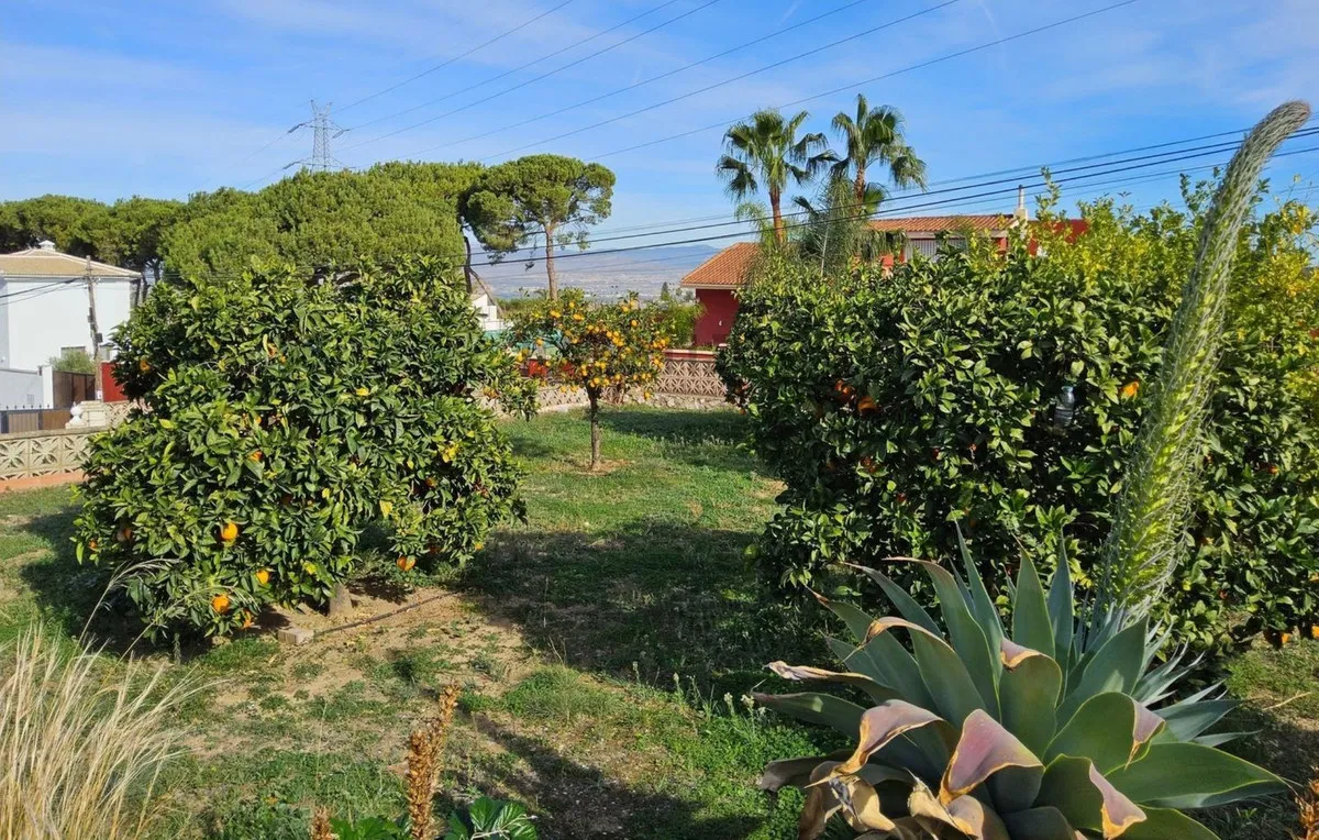 0aedeb6c-980f-441e-ae96-6320048e1d99