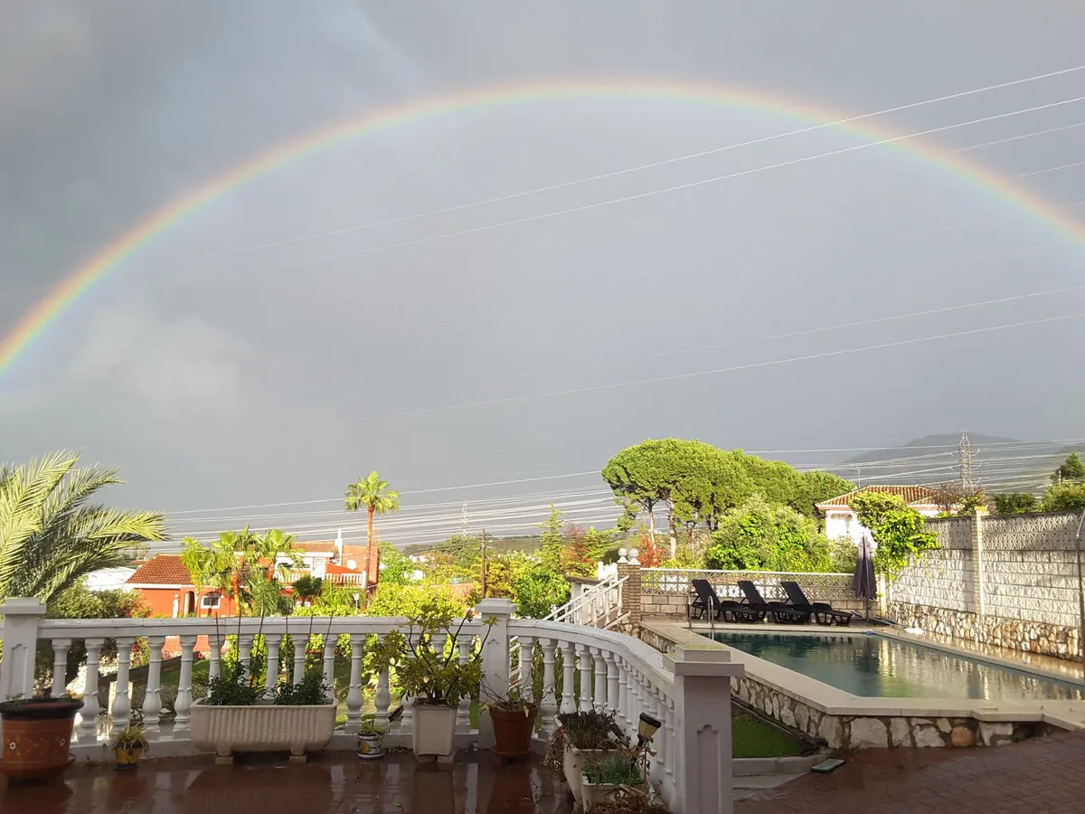 1d19c9cc-92d1-4a8e-9590-c59362c4adb6