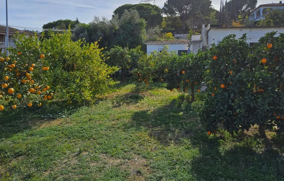 9b639ac4-7931-4050-86e3-fbf728a6186d