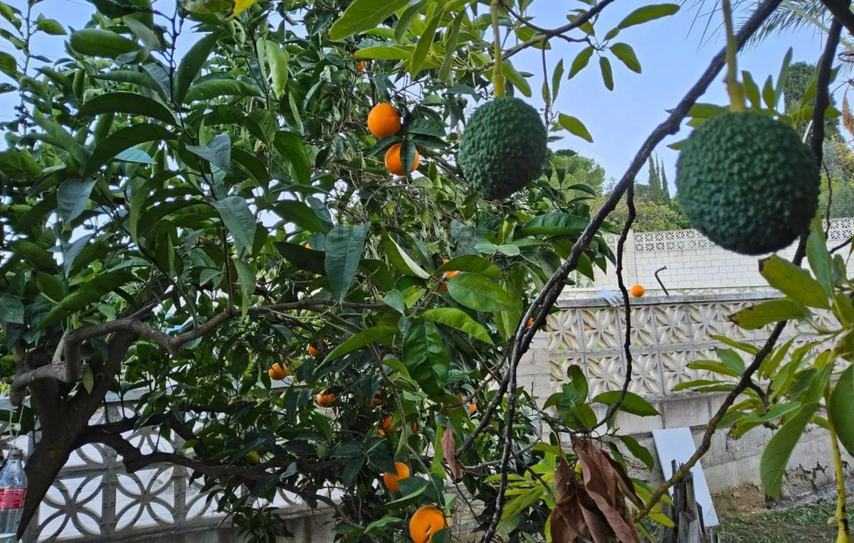 fff0b654-51ab-481e-84e9-e42279aea1b5