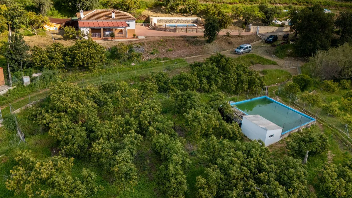 a705d74d-f1e8-4f15-97a0-fb0c029a16f3