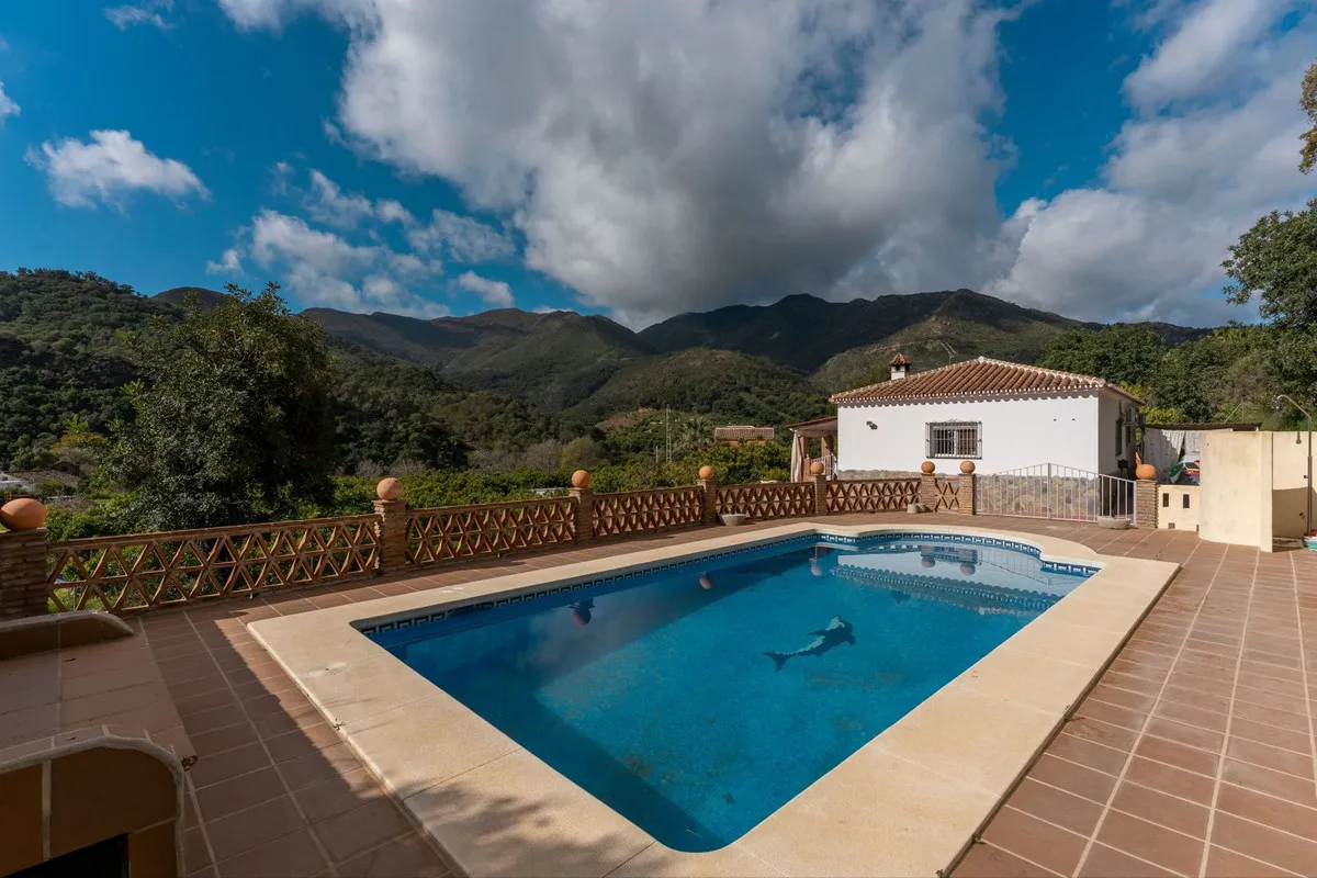 ea5a212d-2457-475a-b5f7-de4e714dcc7a