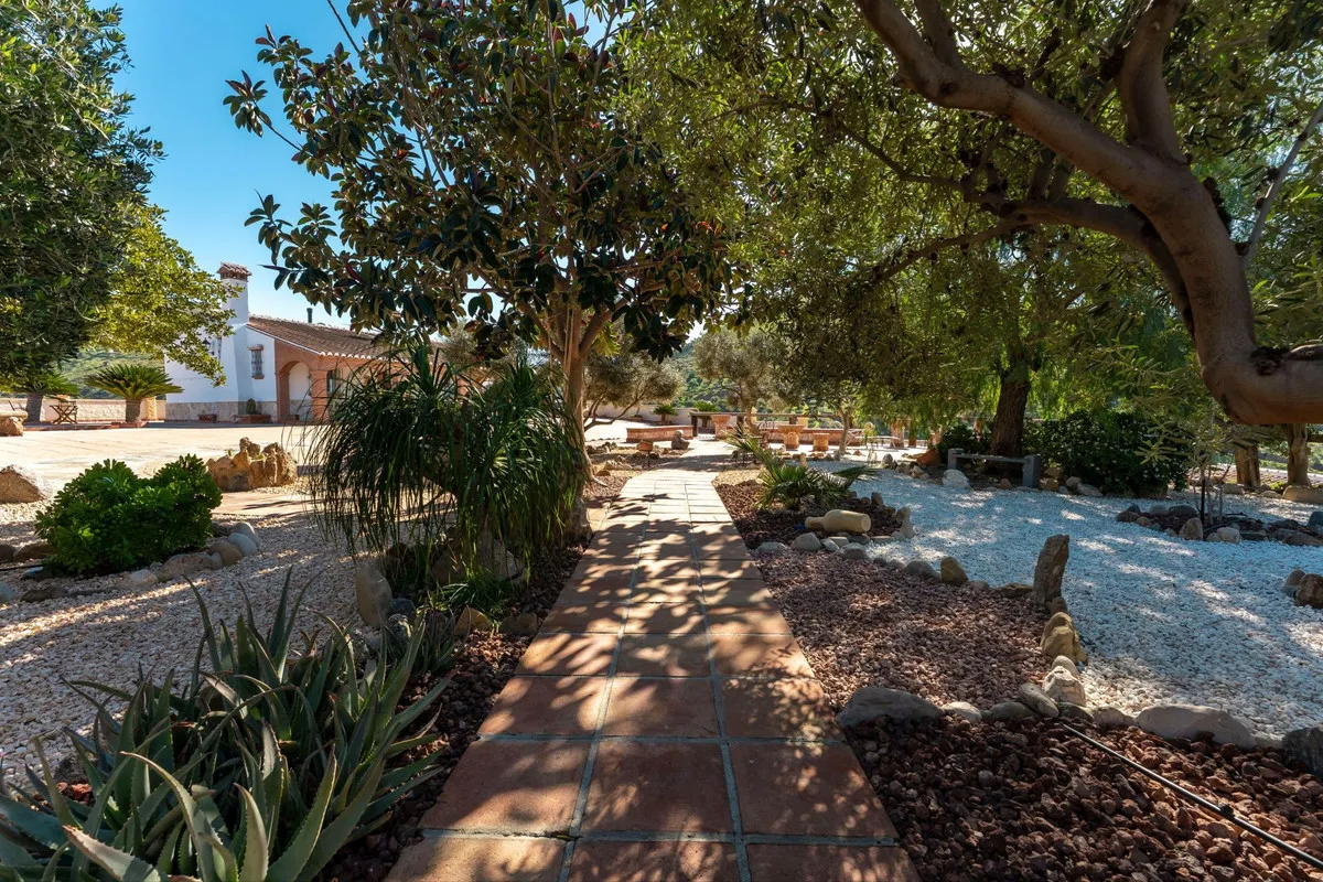 3e3adeab-464c-4d16-8e80-2af0a23ae618