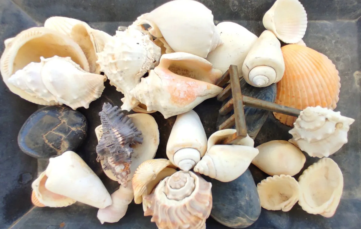 3d34453e-0fa6-487c-94a4-2ea366d08ae6