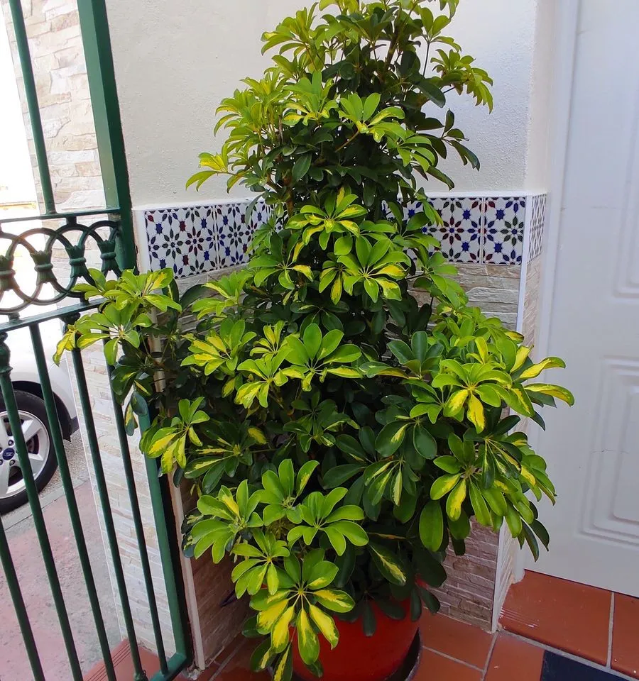 afe4b7cf-cf23-4c52-a770-90ba85fdc219