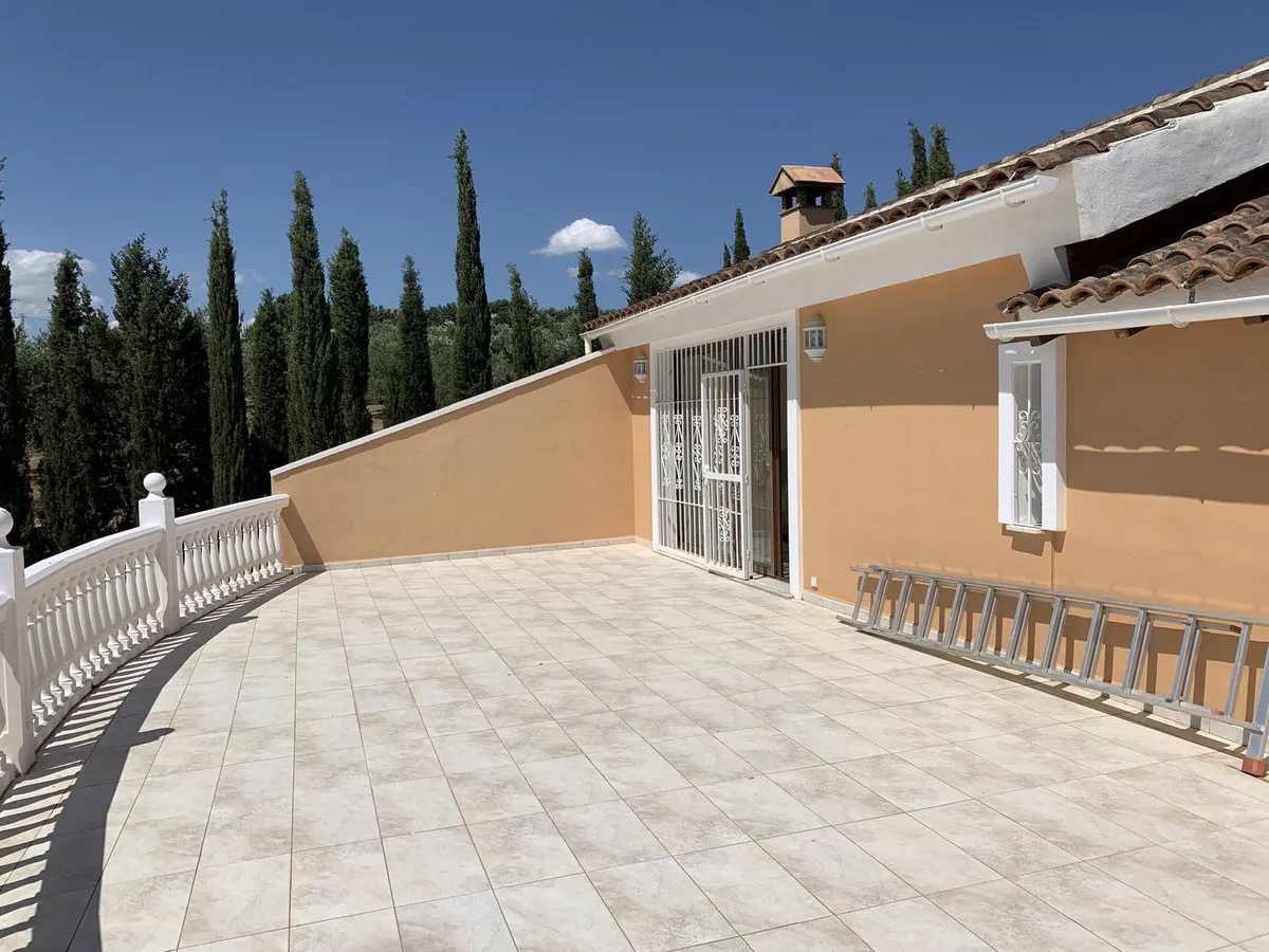 19ef866d-61cf-4875-95f5-2c781198e143