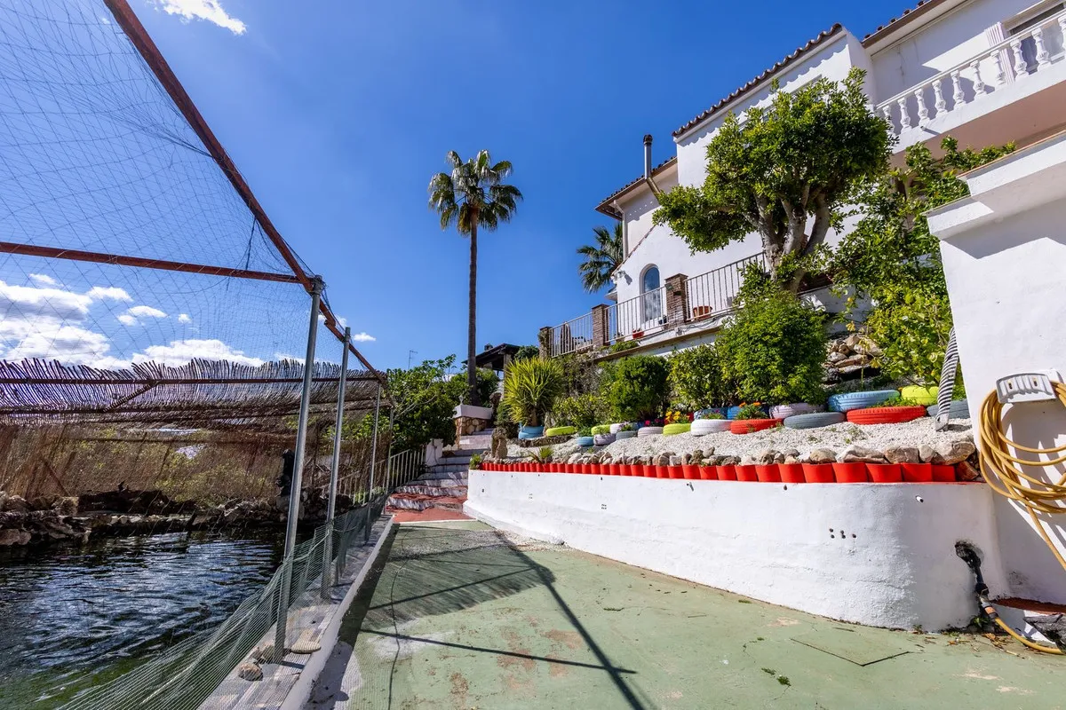 c12e659e-35bc-46e4-b82d-c795a45c61a3