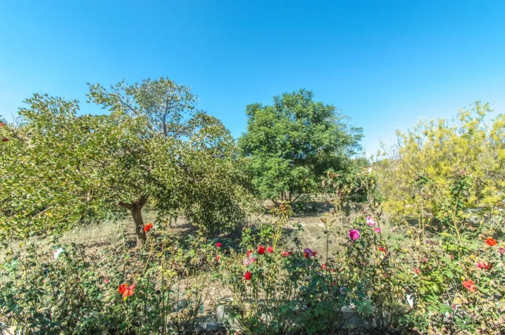 08752c59-bf5e-4172-beff-aa27beb9d6a9