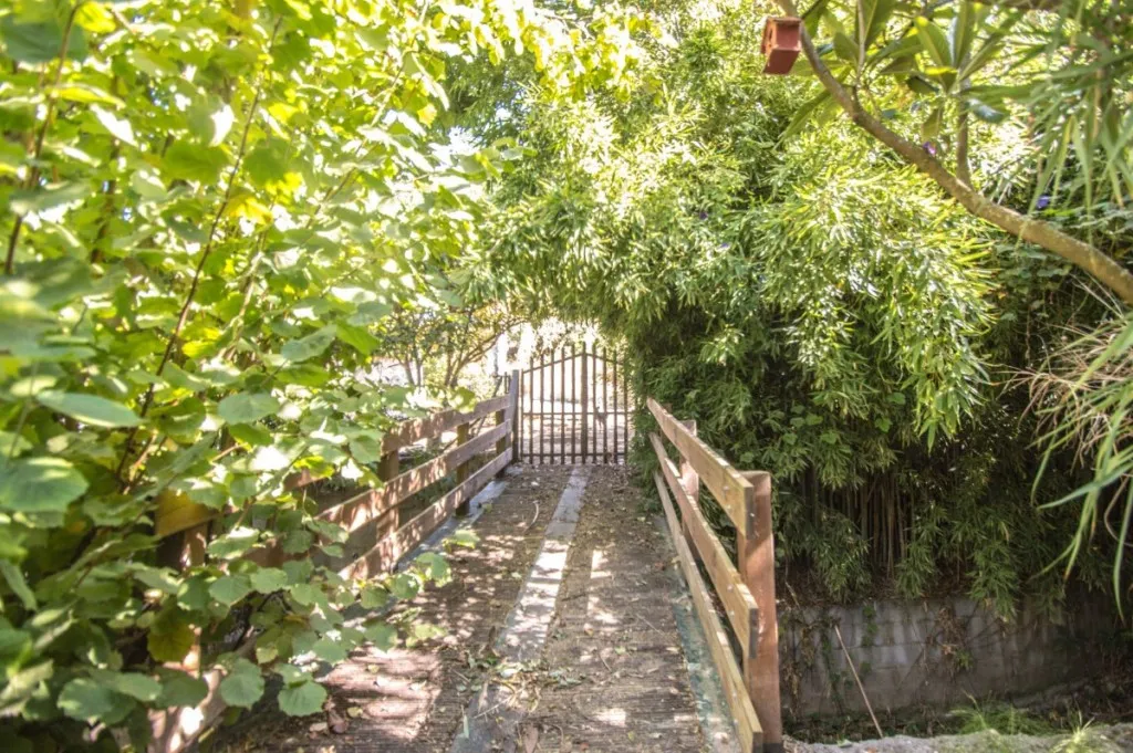 10c10888-c9b4-4533-9551-505bff55da54