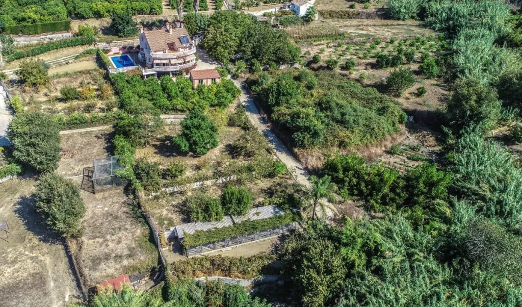 2a134869-813e-4449-b721-482fa2aed742