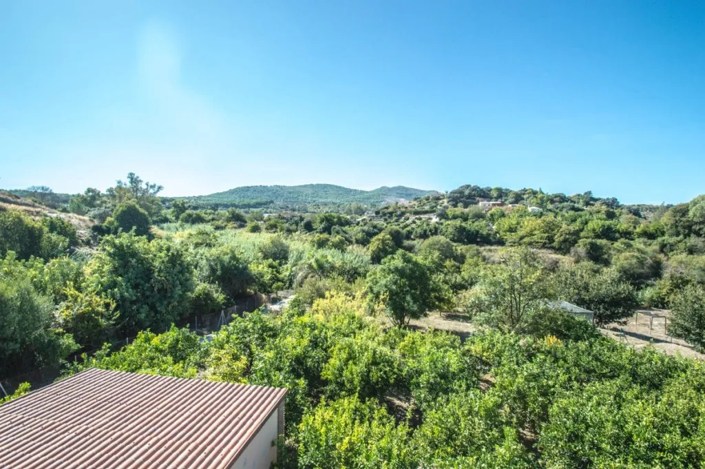 52cb6477-cc70-4987-af23-aca50ad3756c