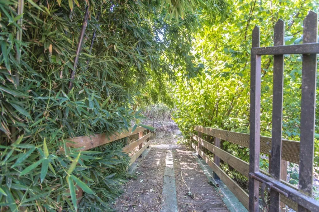 729fe4e4-0445-4b67-afa5-2436bc37858e