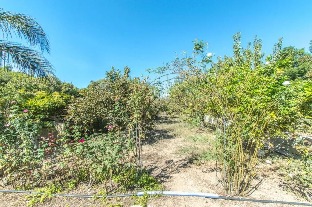 8a49c746-1172-471e-b154-aea8700c27f3