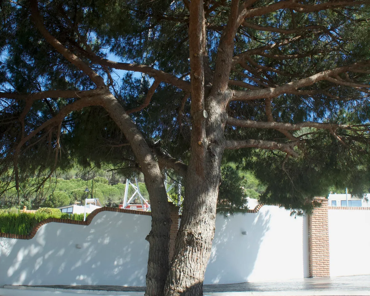 2f4cdc75-a84f-449d-af20-5c856fe949b1