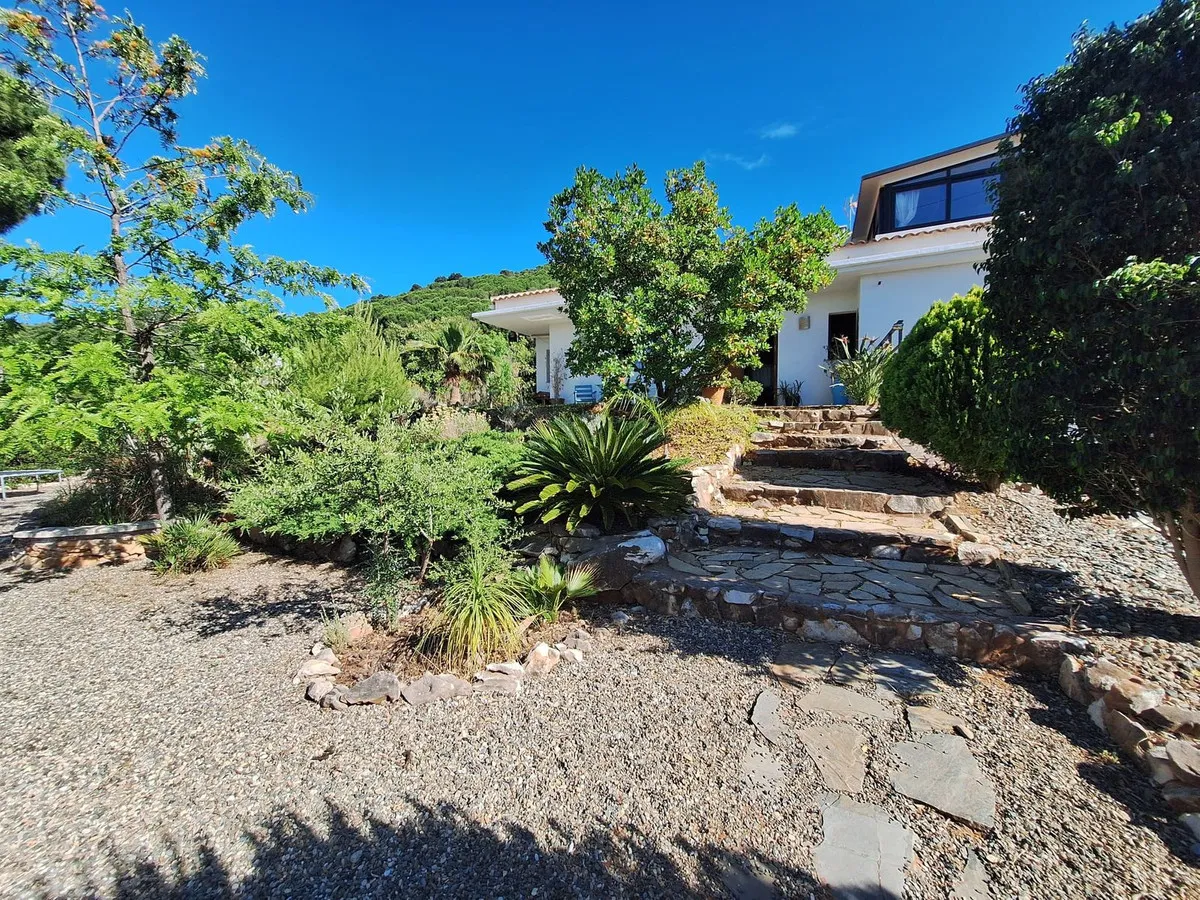 01d8917b-36a2-4bcd-a37a-ddabe8025c0e