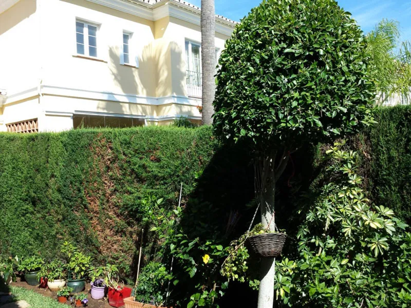 6d817793-06e0-4aad-ba39-65482b72da6e