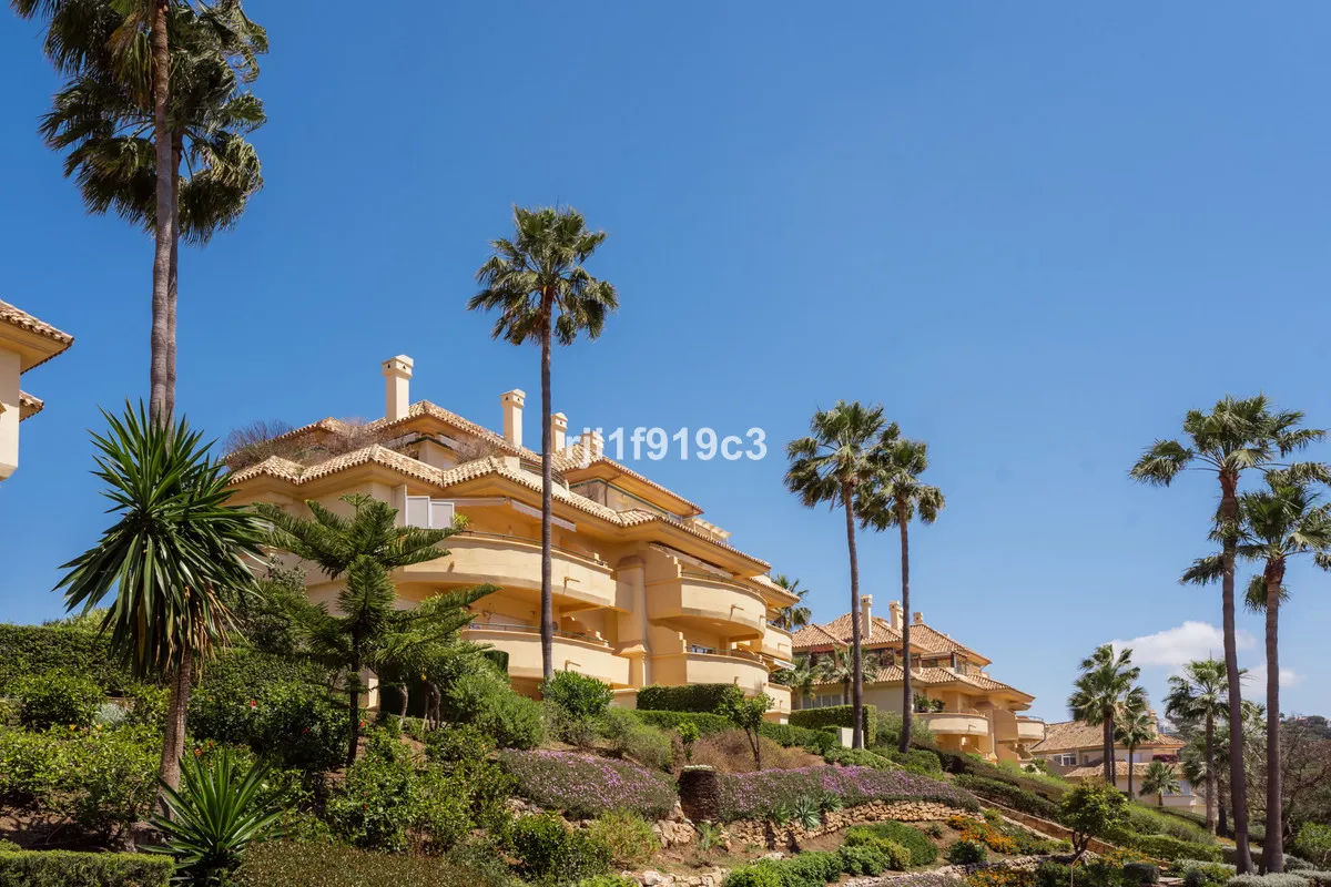 b4c16aa7-d28d-4506-b831-bba4bbbcfc9b