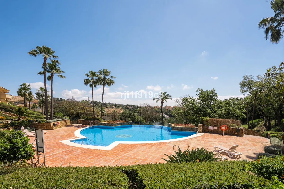 c705f7d7-d9ce-4715-bf03-2cf56f55d599