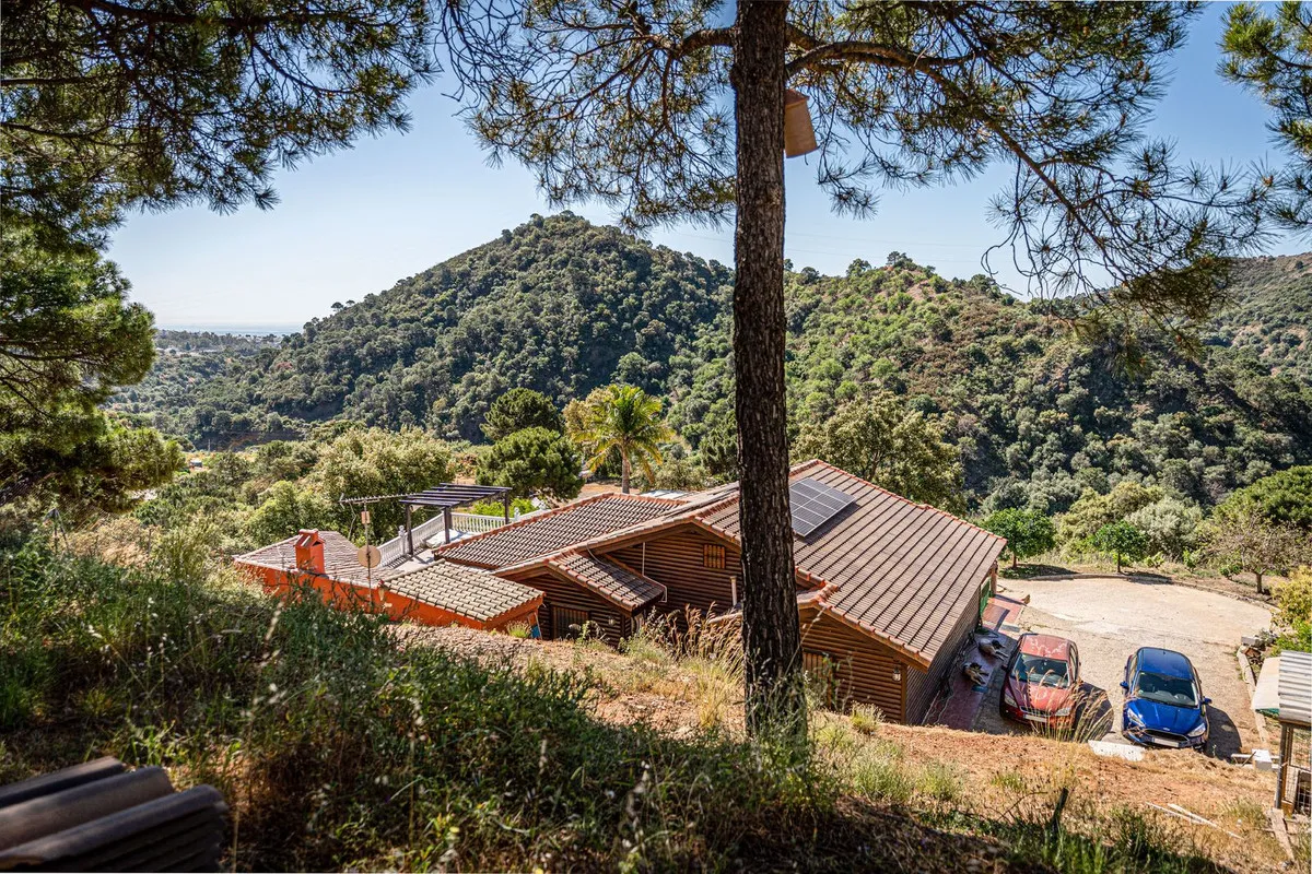 713e553c-bdeb-478e-8fb4-eafd491bd1e3