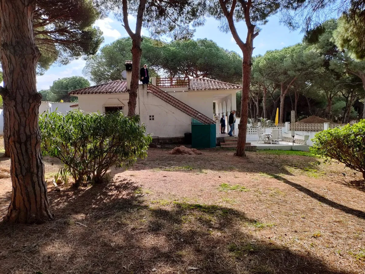 20fc593f-c55d-44ff-b951-05697a4b78ae