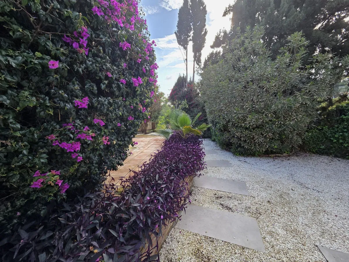 d32a889a-9e26-4cd0-a4f2-97c76239afc3