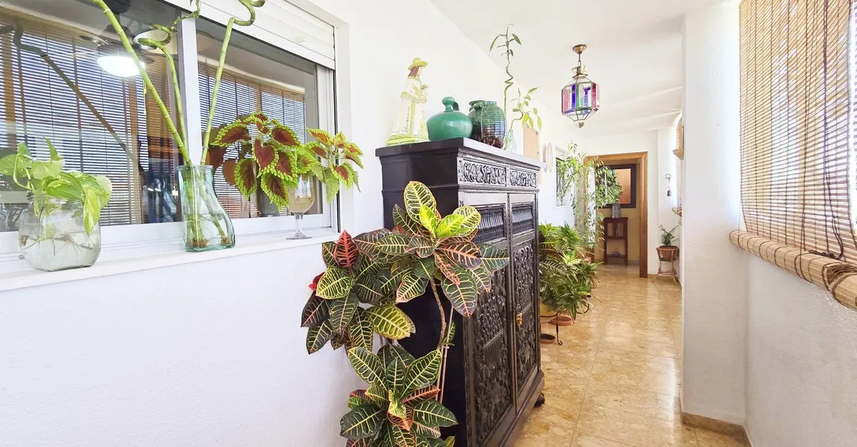 2e1cb192-dd71-45a8-b71e-5ccff6ca550e