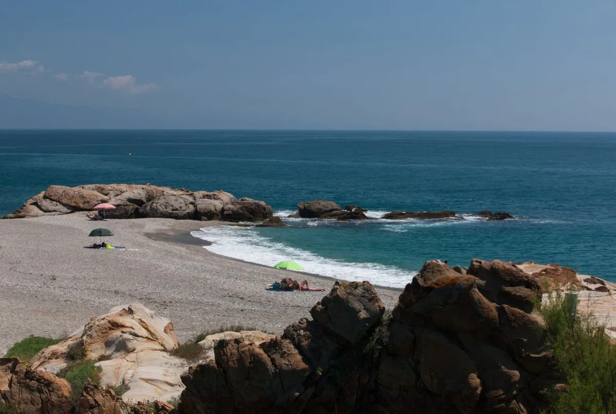 e566d41e-b091-44be-a663-345035101d59