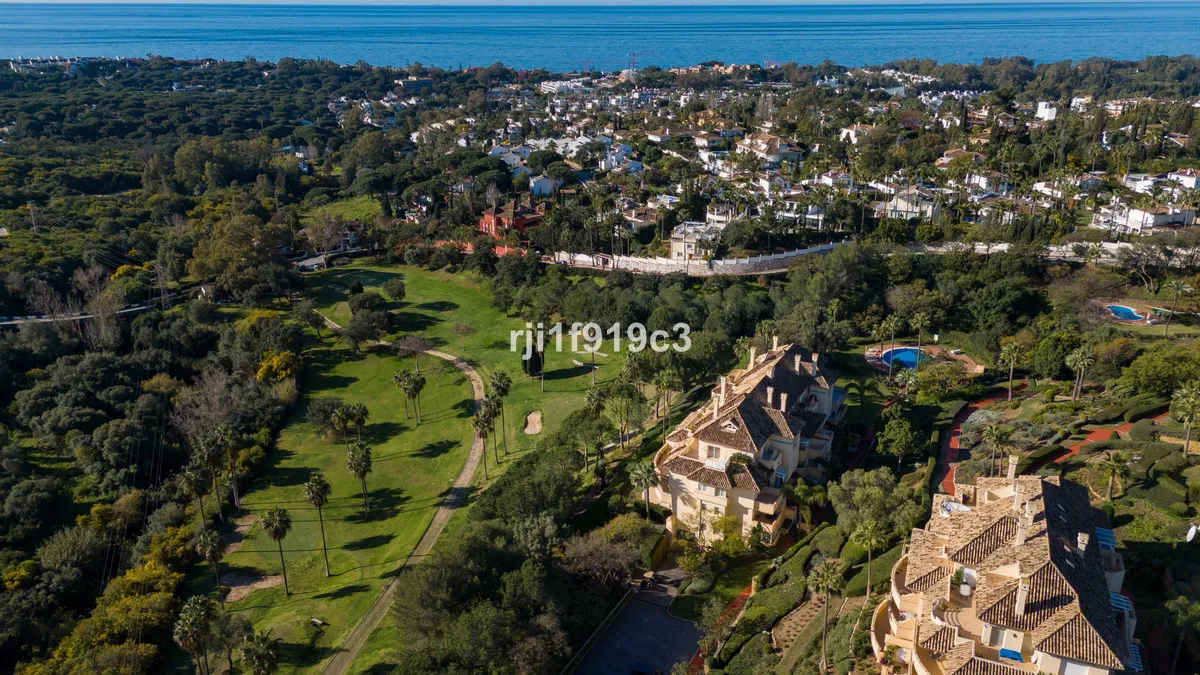 b9c9c047-c8ac-446d-b767-95dca341a9e8