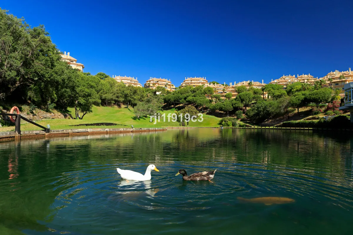 fe5e05eb-acfd-4004-ac3c-5a6017daf738