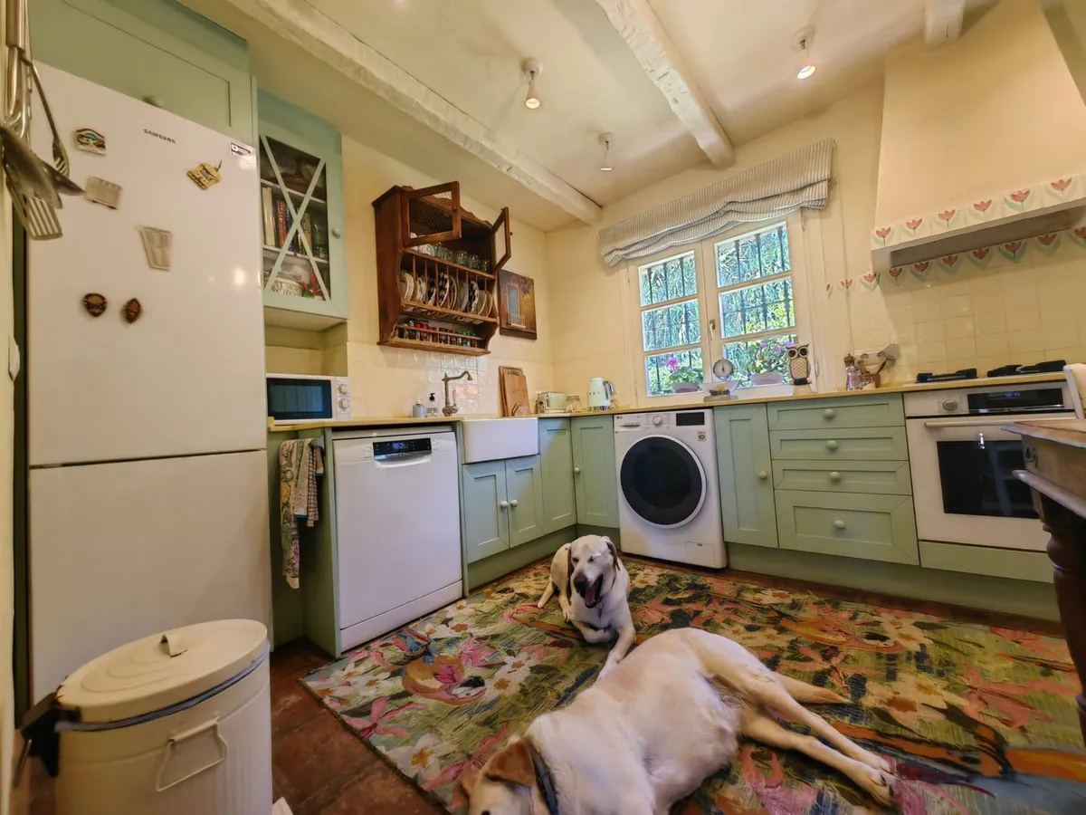 07ffa895-4104-4dee-a113-3e6eb2862aa0