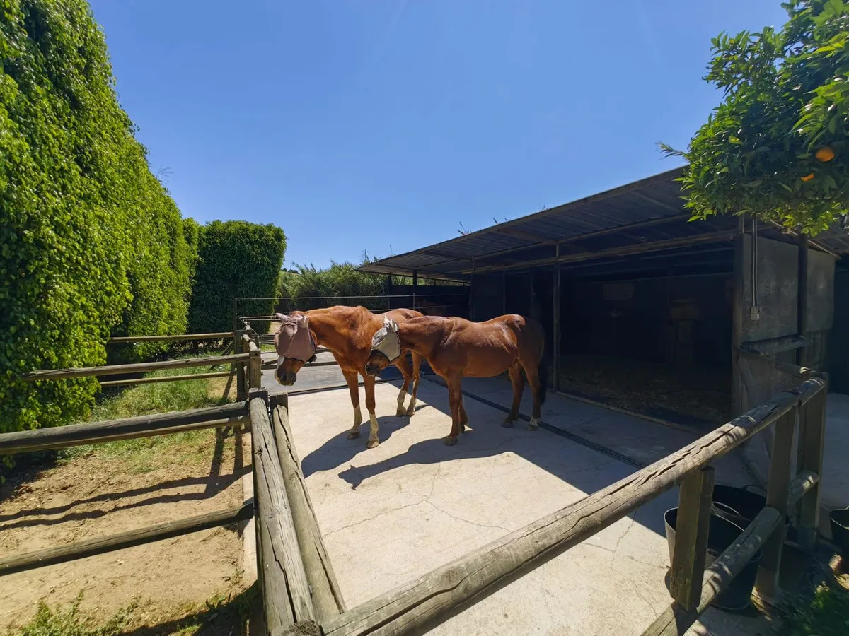 40e91ac7-198a-4024-ac96-ae4824692917