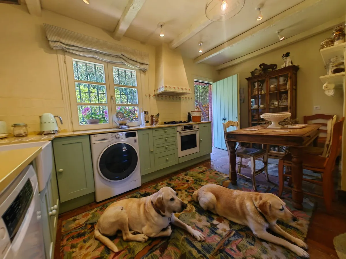 62f11d2d-3b44-4d4b-a69a-6f4a8e380b2c