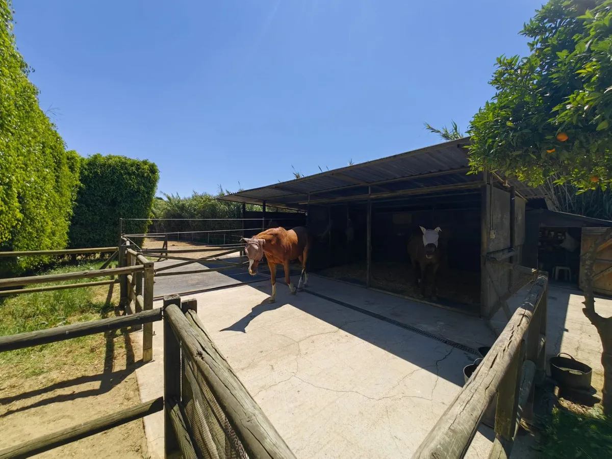 80d88b8f-2863-48ed-9fb1-6805fd3c6b1c