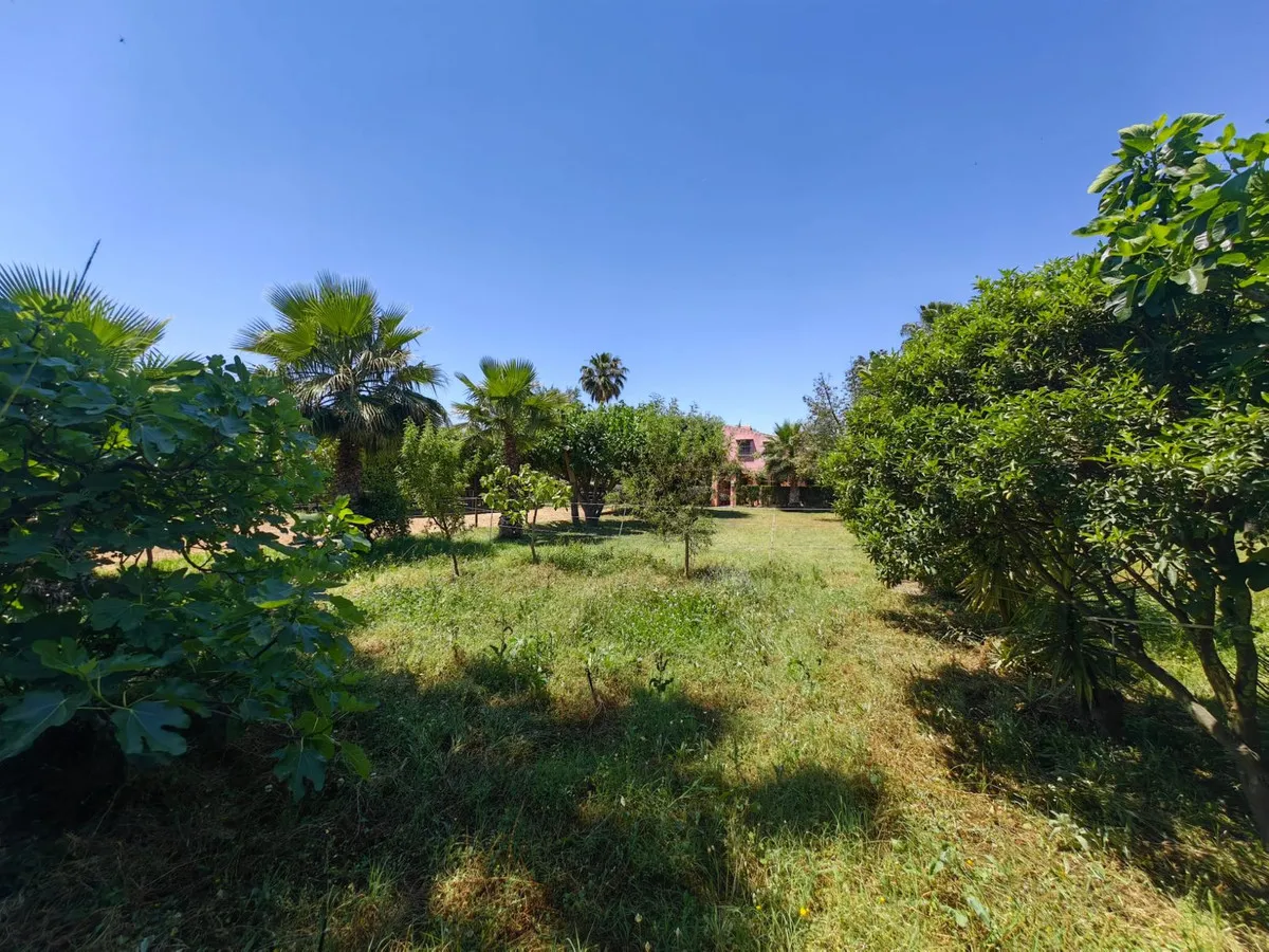 8a416c8f-fca3-488e-8849-fa522f33efa2