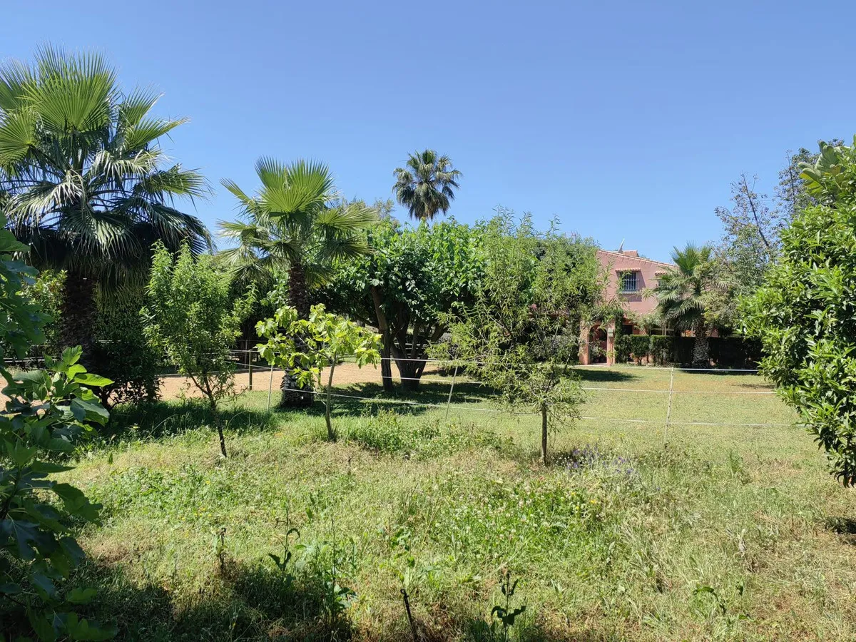 b19ca57c-d719-41e4-9b67-b3e3b03edcad