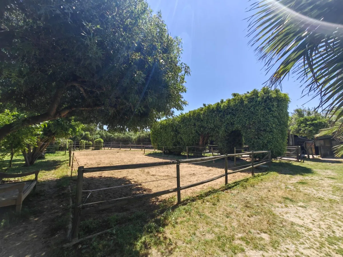 b6424ed0-0de4-4c18-9290-1f14b240fba8