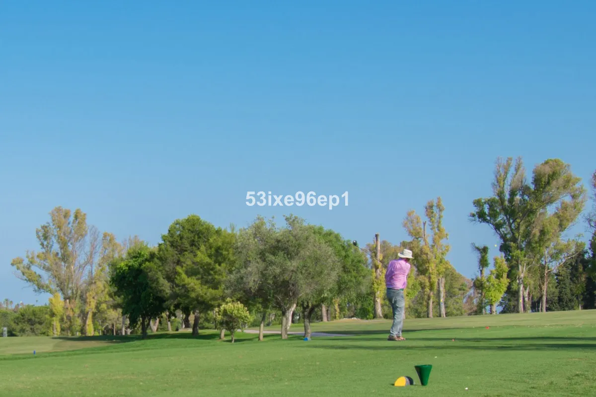 13ba2554-16e8-4e61-a6ab-c89e00469aa0