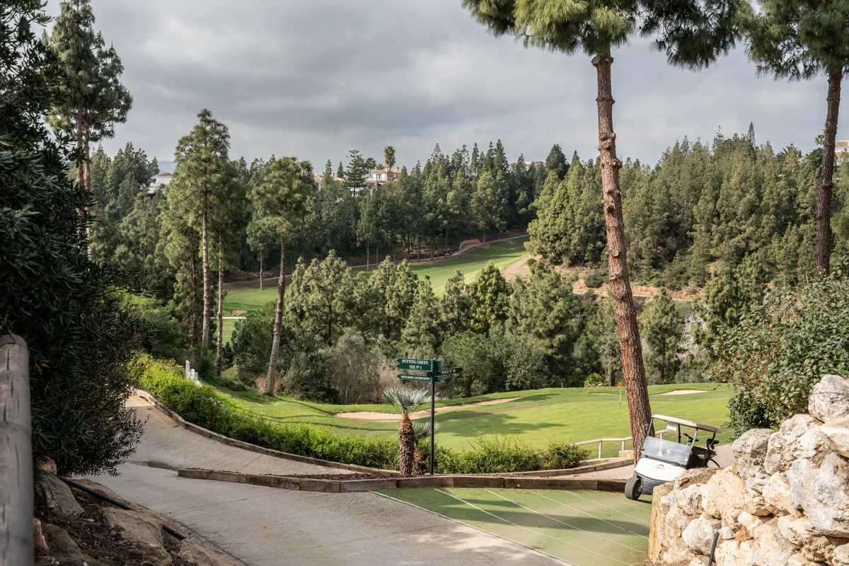 4ffc128a-db99-4da7-874b-fc8f273c57b5