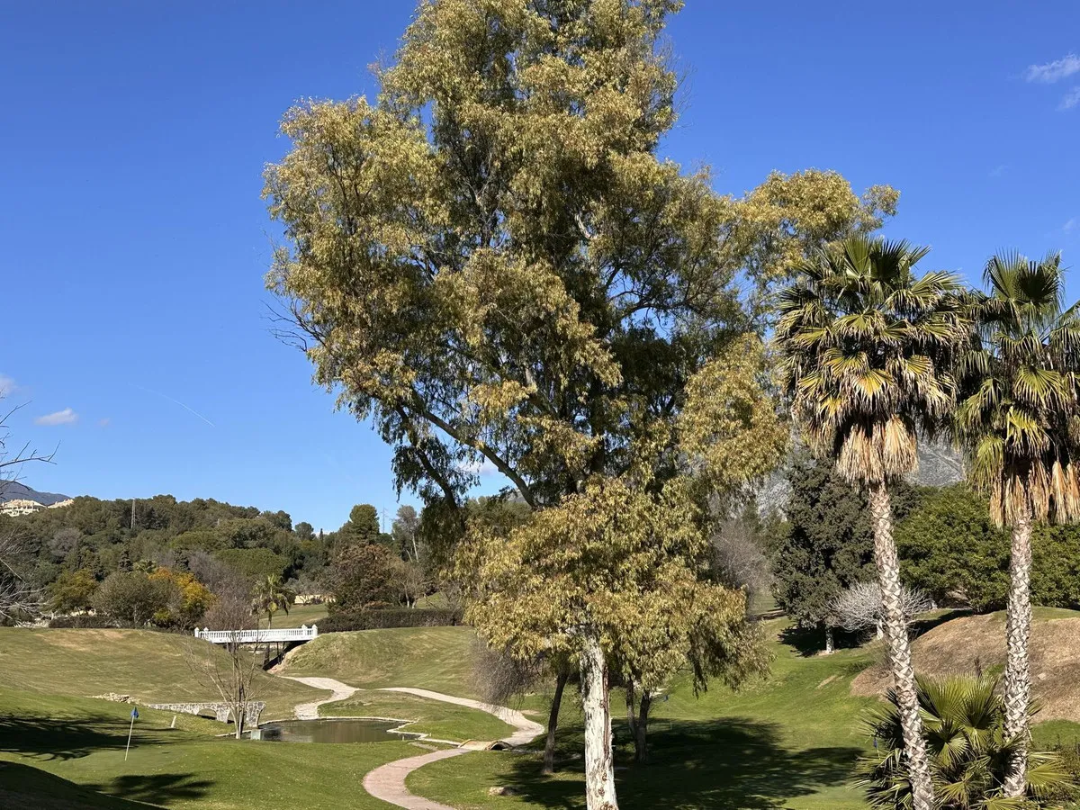 9383d12a-2e5f-474b-8c0a-cf071bb7a050